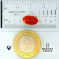 ITLGR_105272_SCALE.webp