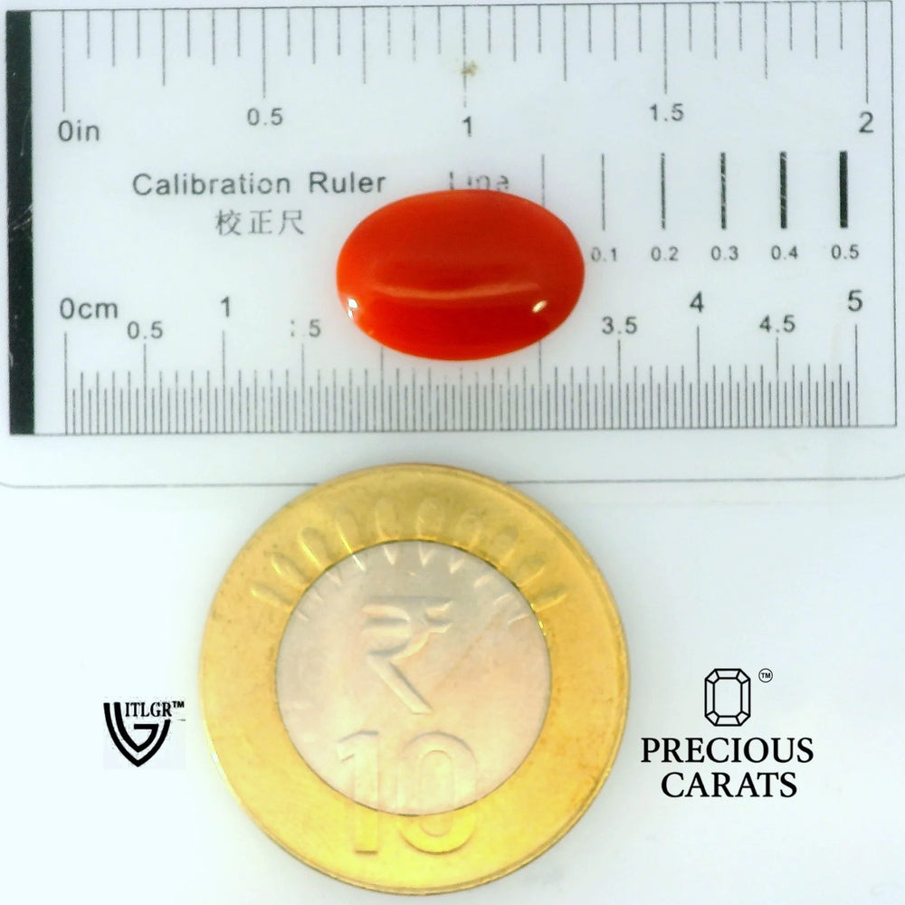 ITLGR_105273_SCALE.webp