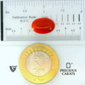 ITLGR_105273_SCALE.webp