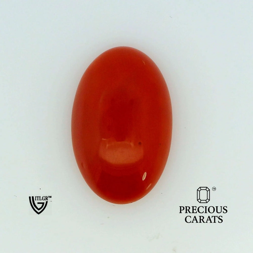 ITLGR_105275_TOP.webp
