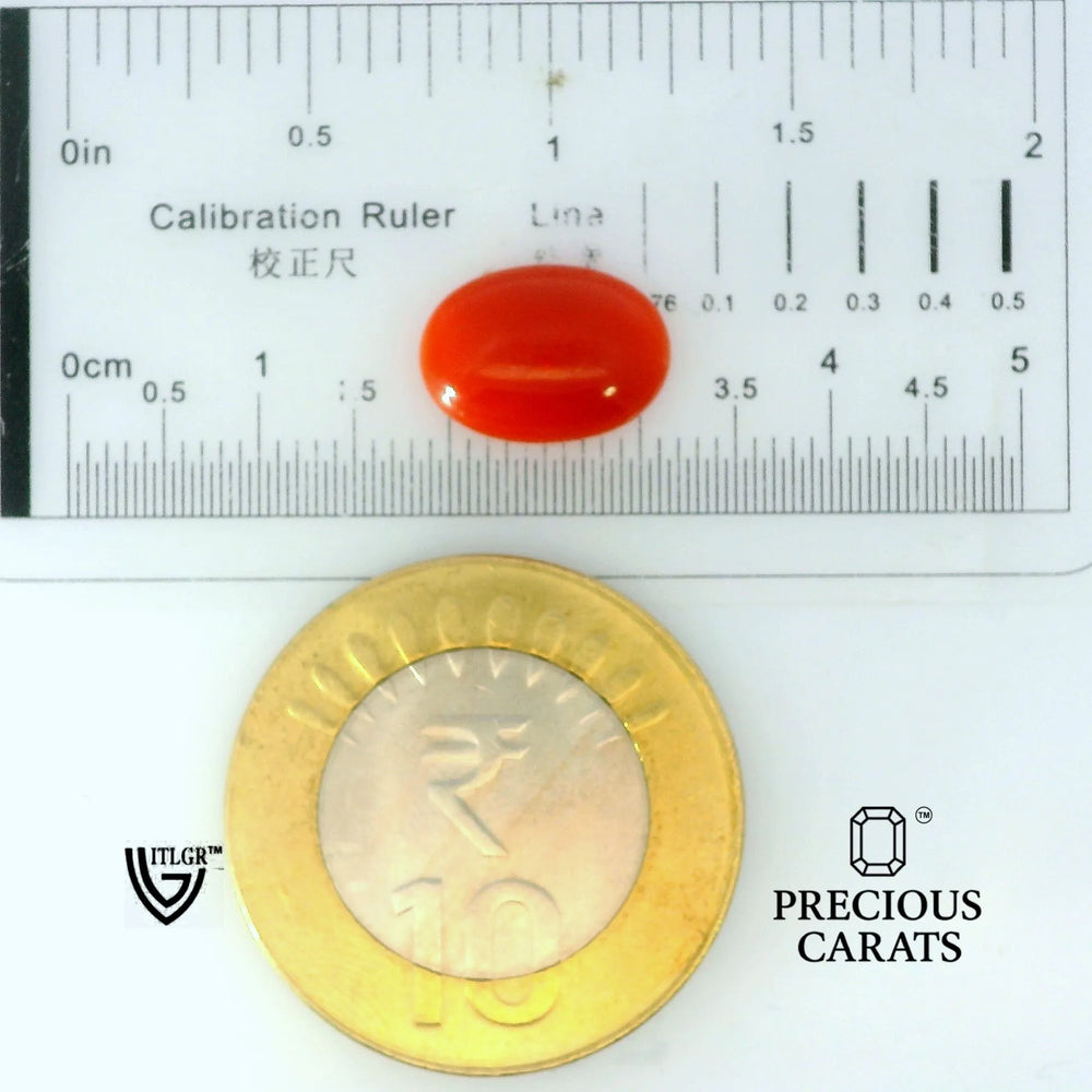 ITLGR_105277_SCALE.webp