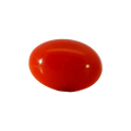 ITLGR_105278_FRONT.png