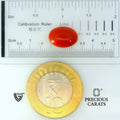 ITLGR_105278_SCALE.webp
