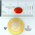 ITLGR_105280_SCALE.webp