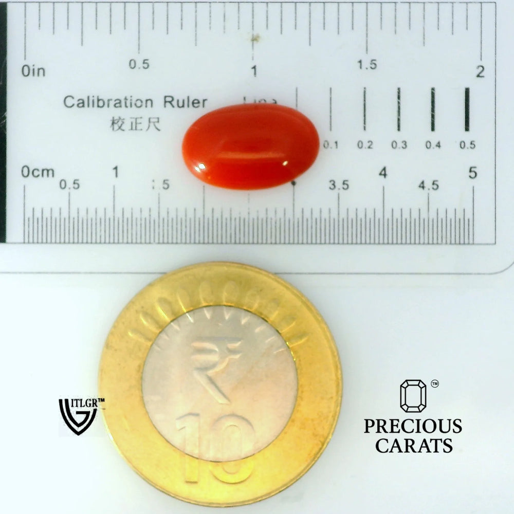 ITLGR_105285_SCALE.webp