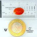 ITLGR_105288_SCALE.webp