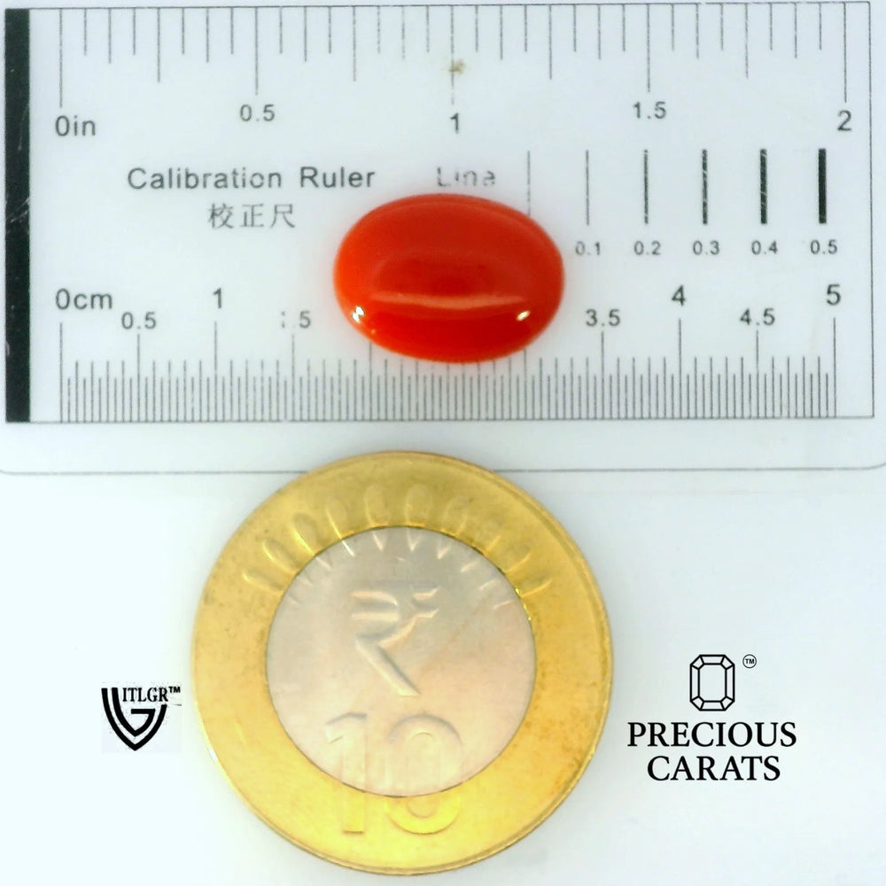 ITLGR_105289_SCALE.webp
