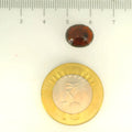 ITLGR_105297_SCALE.webp
