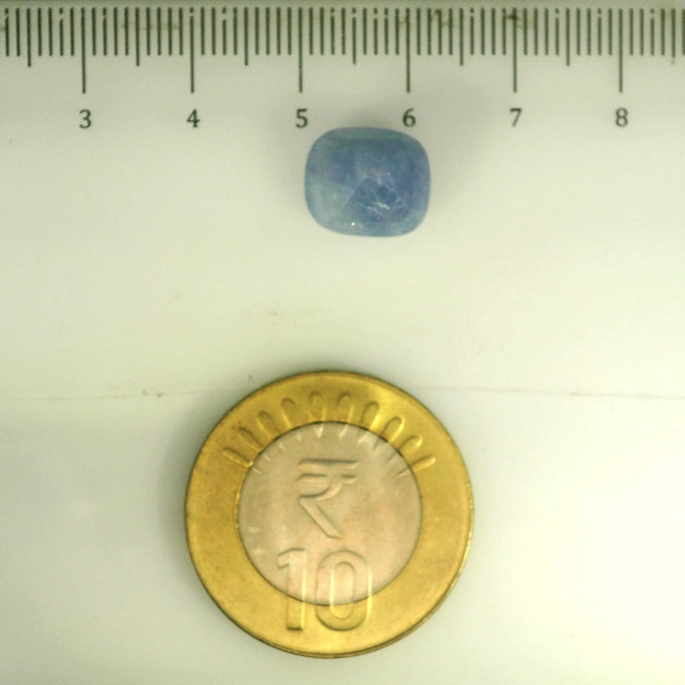 ITLGR_106692_SCALE.webp