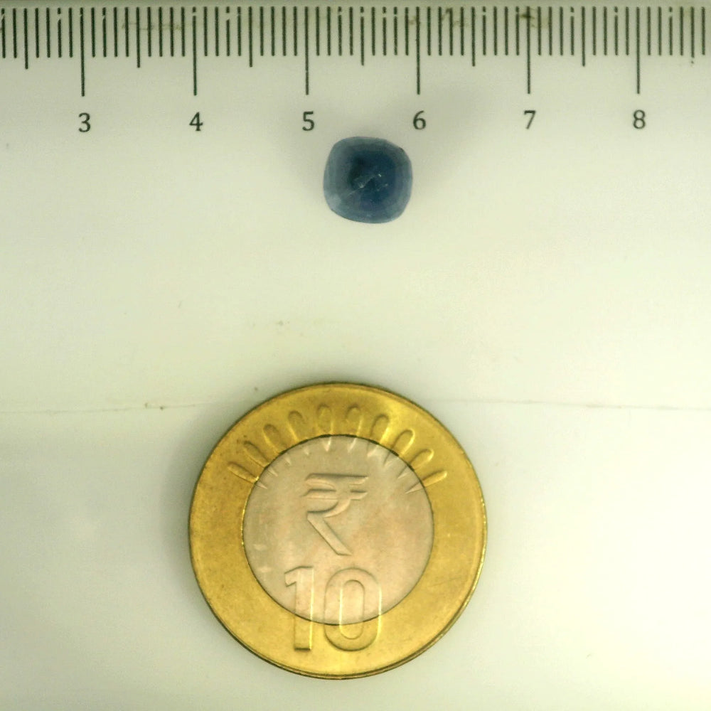 ITLGR_106715_SCALE.webp