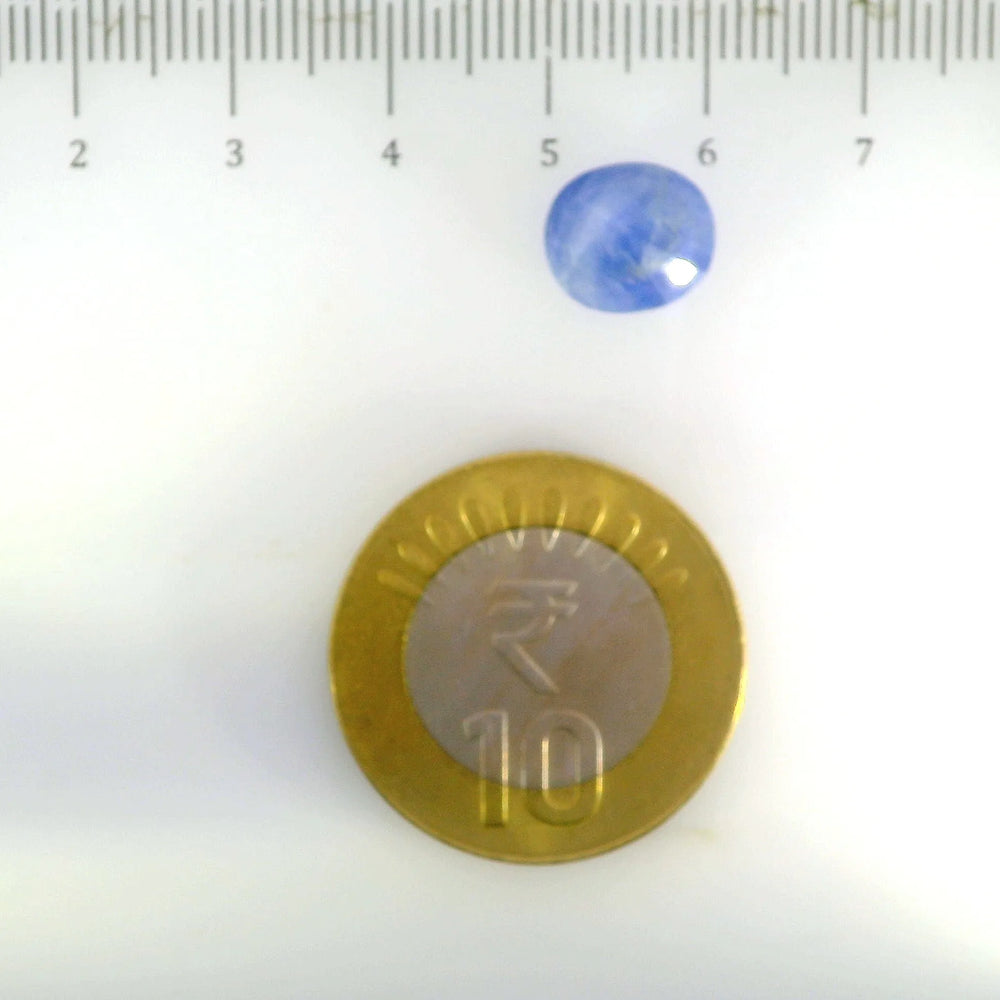 ITLGR_106721_SCALE.webp