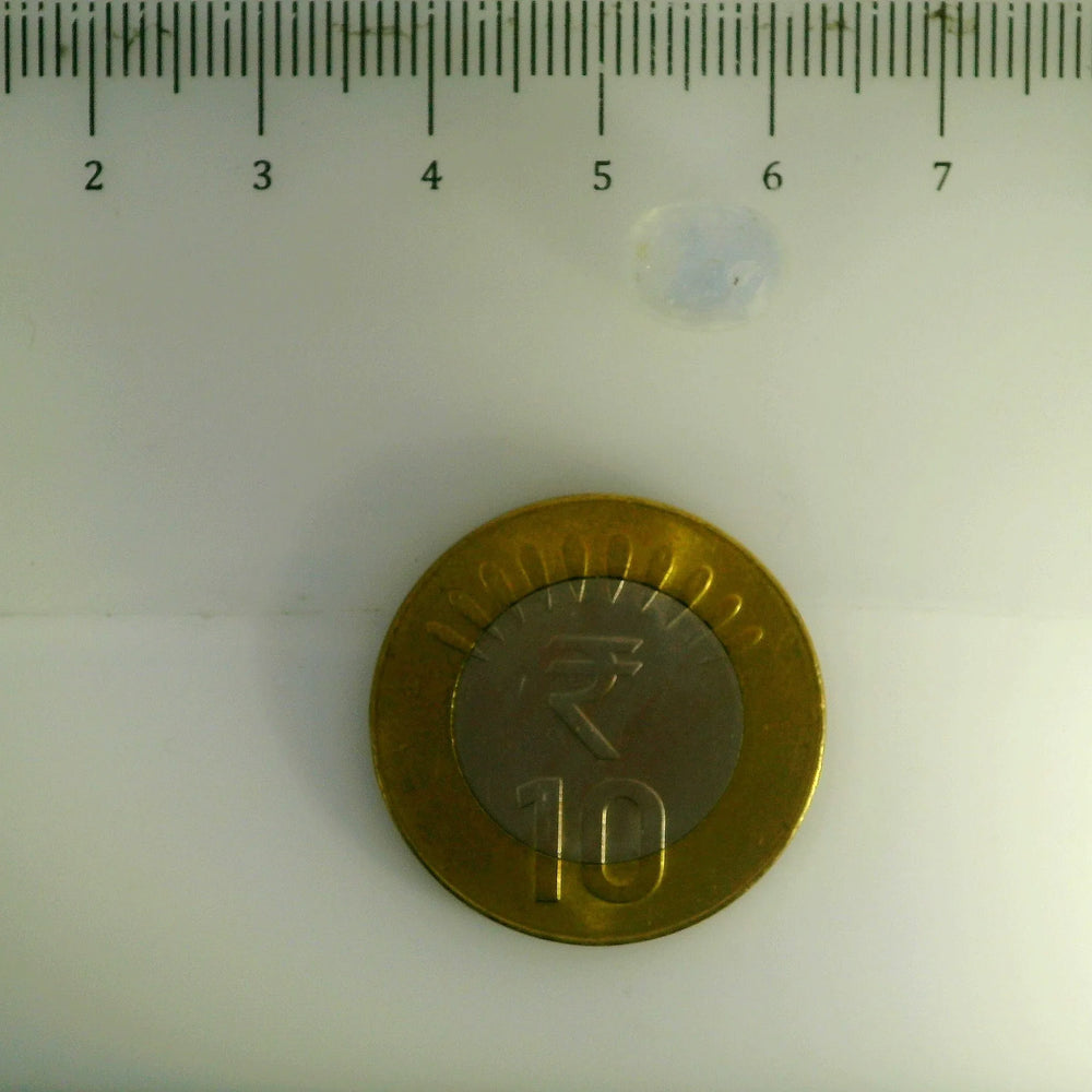 ITLGR_106749_SCALE.webp