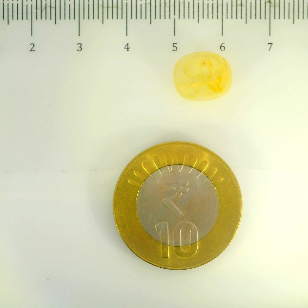 ITLGR_106757_SCALE.webp