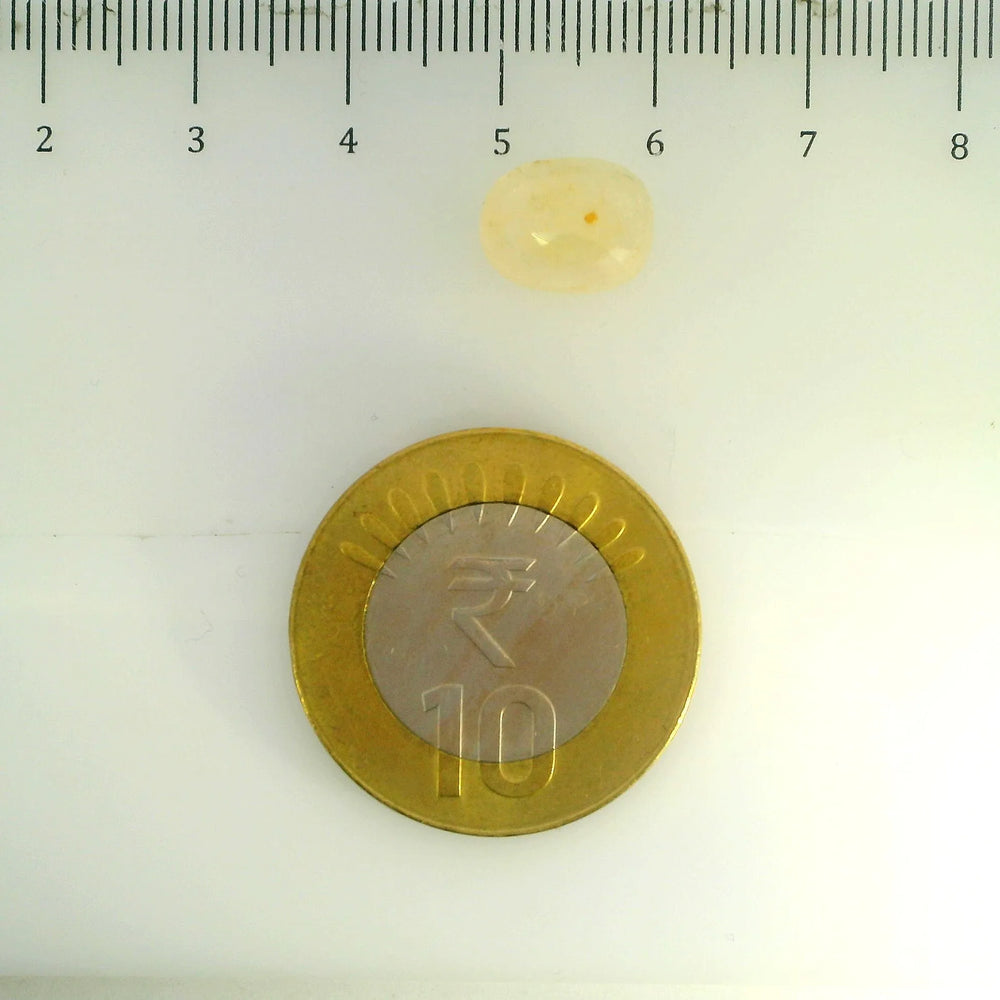 ITLGR_106807_SCALE.webp