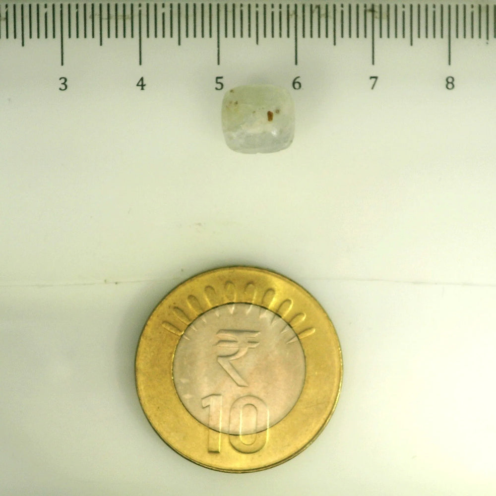 ITLGR_106815_SCALE.webp
