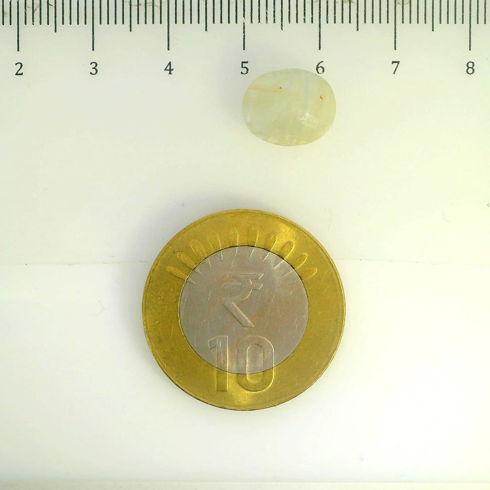 ITLGR_106819_SCALE.webp