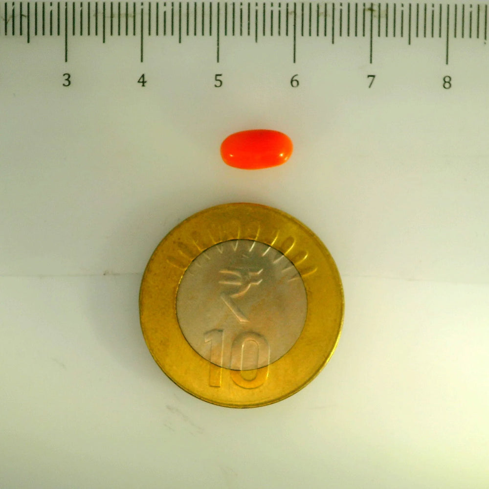 ITLGR_107108_SCALE.webp