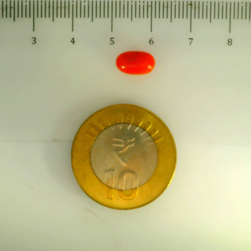 ITLGR_107109_SCALE.webp