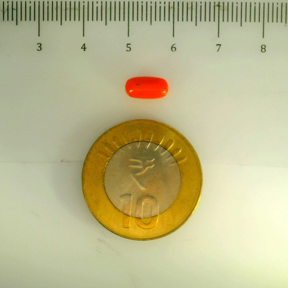 ITLGR_107112_SCALE.webp