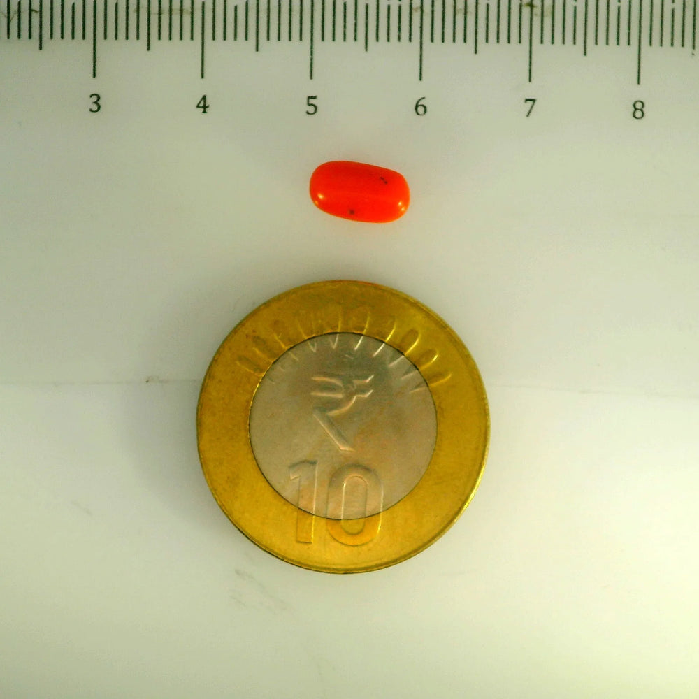 ITLGR_107113_SCALE.webp