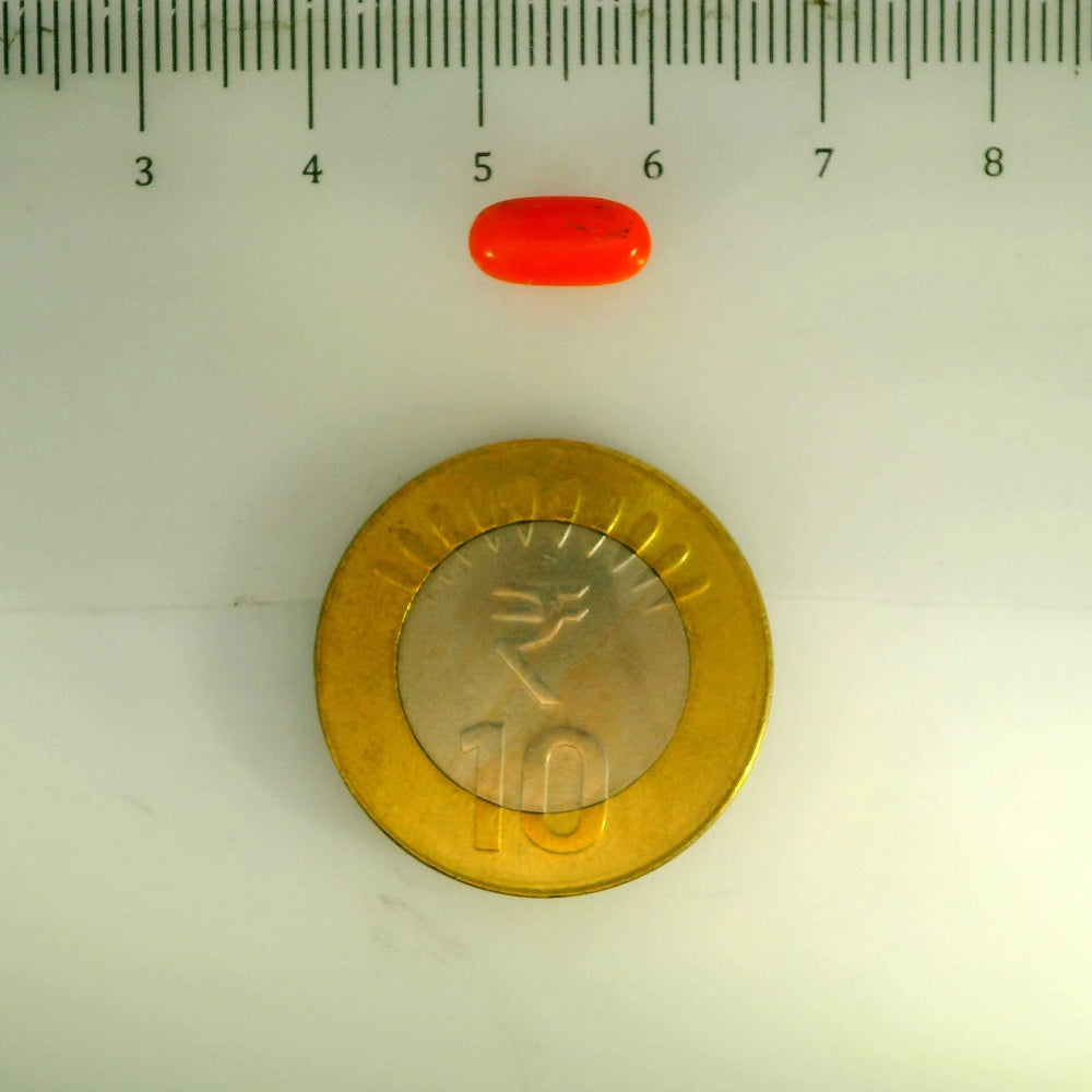 ITLGR_107114_SCALE.webp