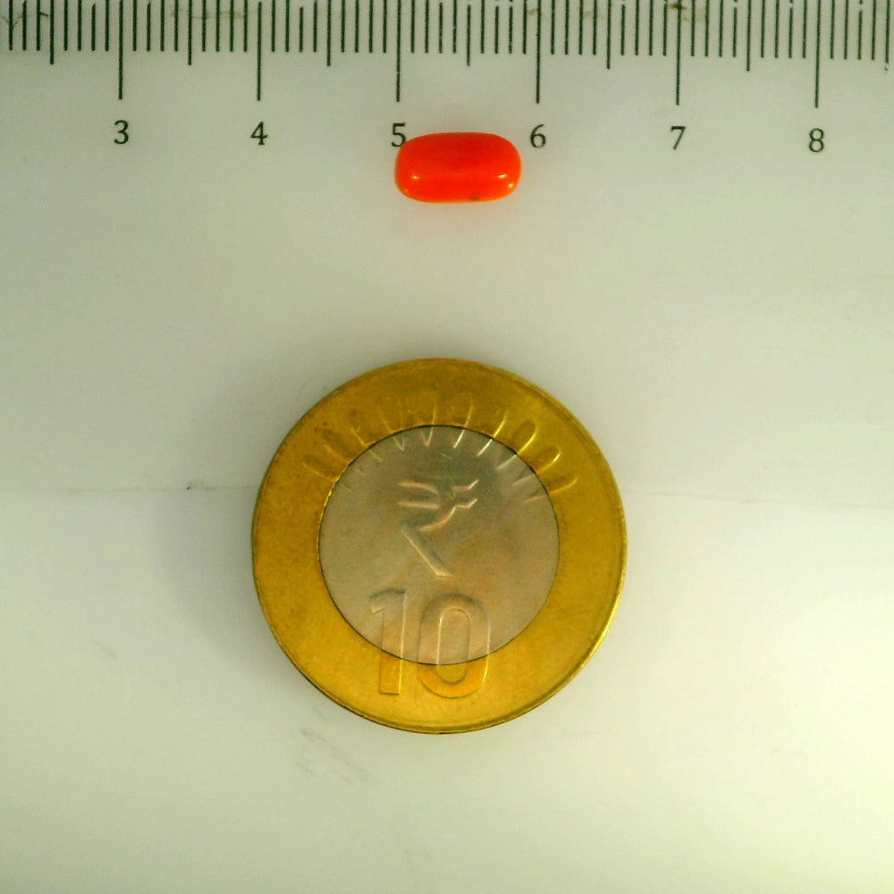 ITLGR_107117_SCALE.webp