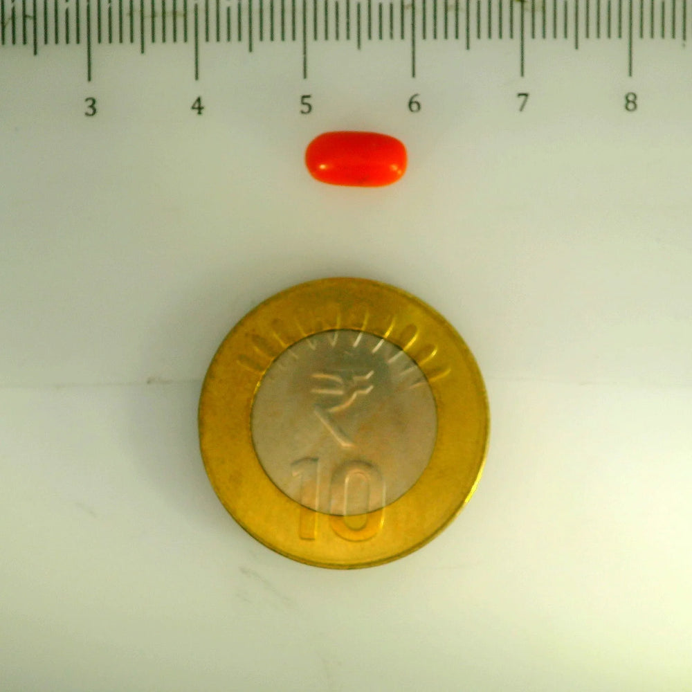 ITLGR_107119_SCALE.webp