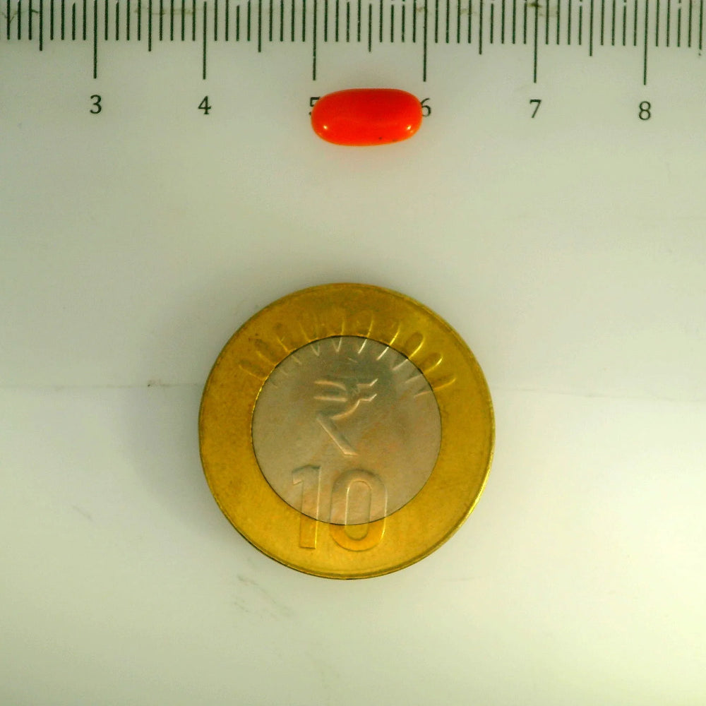 ITLGR_107120_SCALE.webp