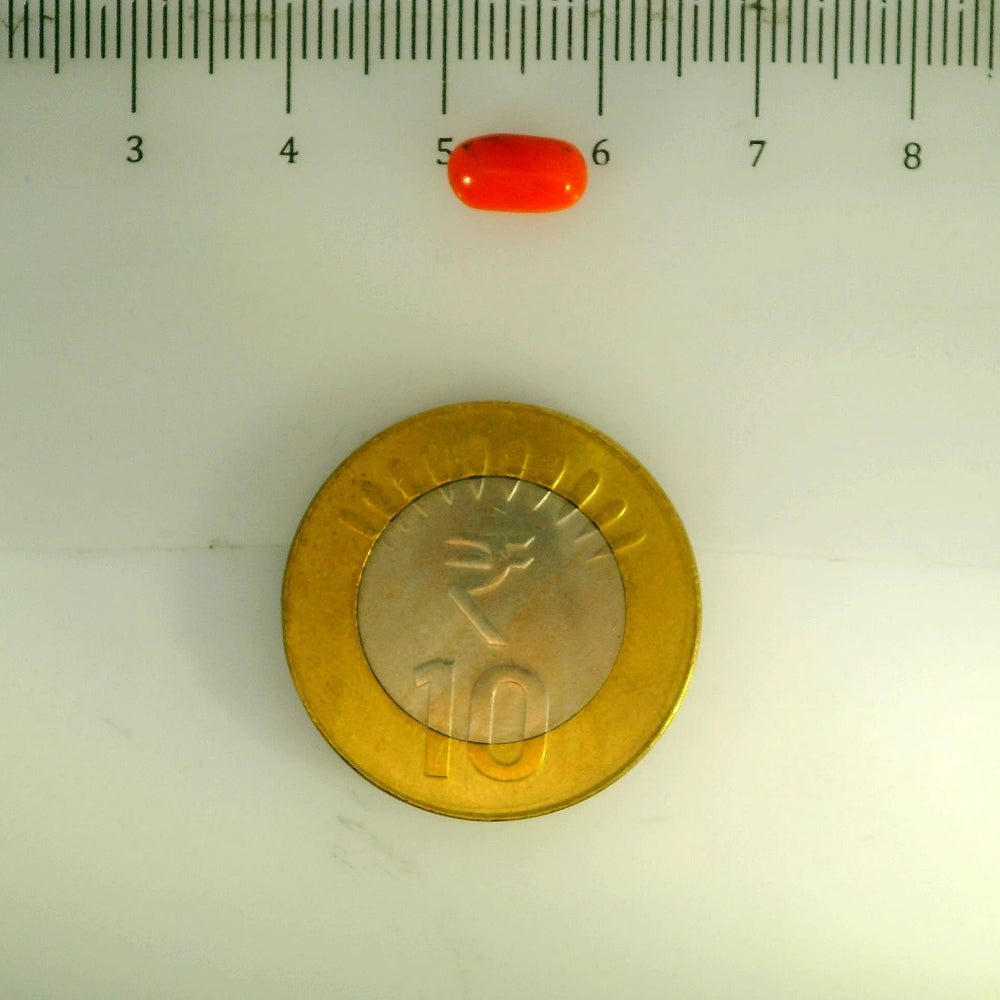 ITLGR_107121_SCALE.webp