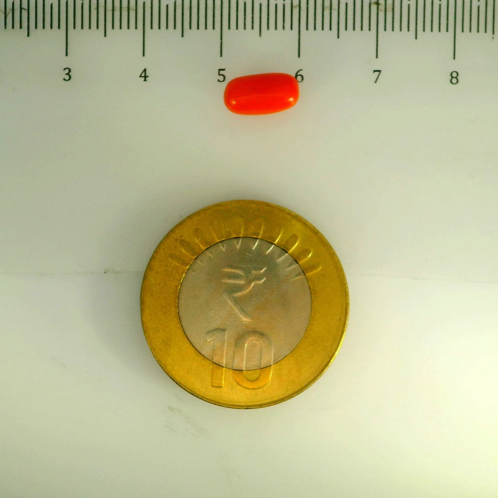 ITLGR_107122_SCALE.webp