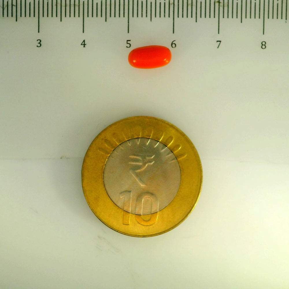 ITLGR_107123_SCALE.webp