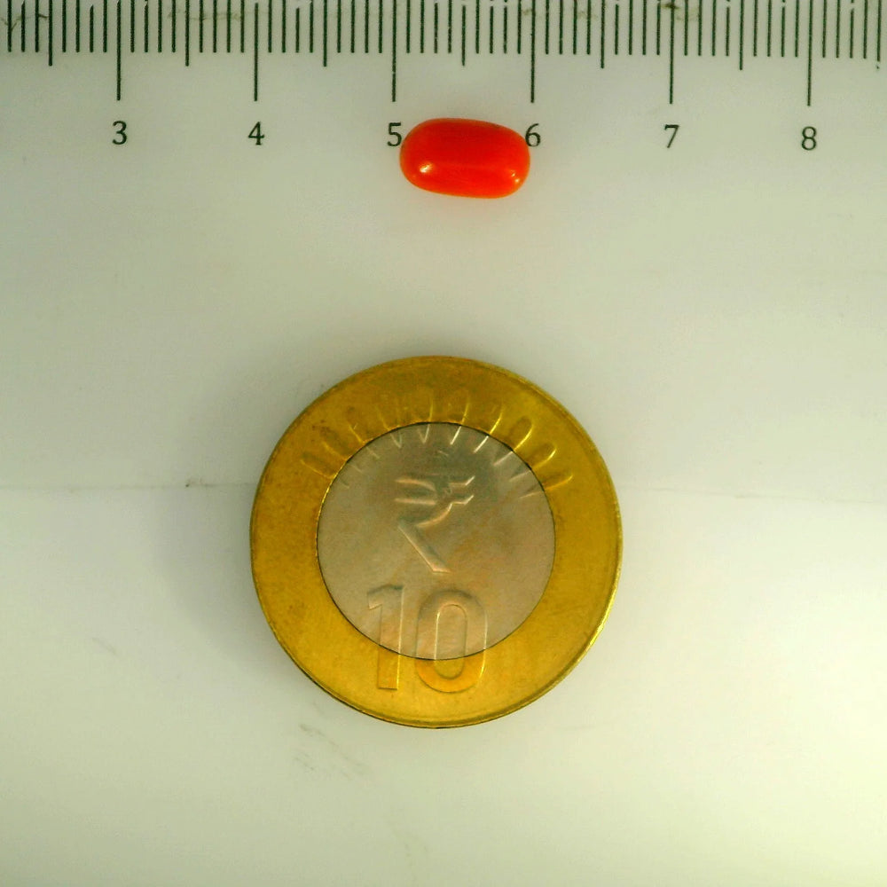 ITLGR_107124_SCALE.webp