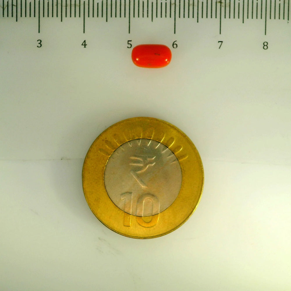 ITLGR_107125_SCALE.webp