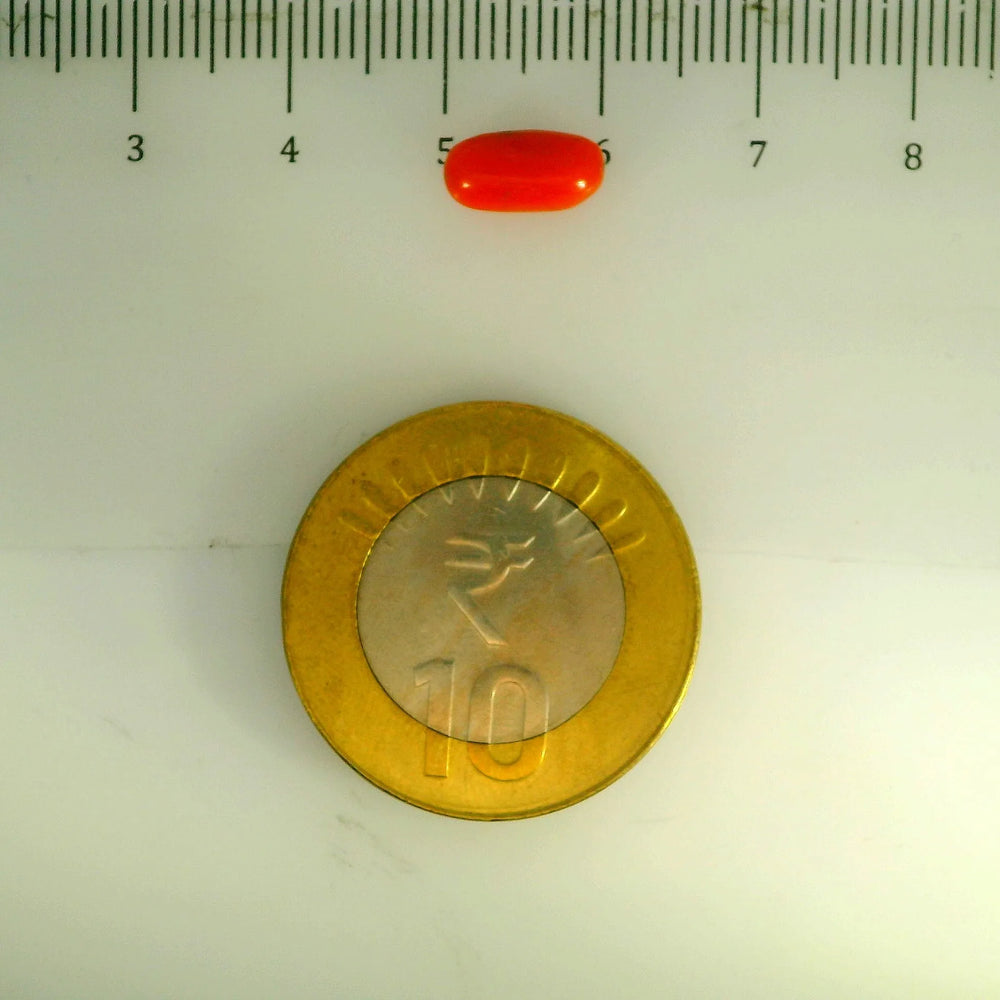 ITLGR_107126_SCALE.webp