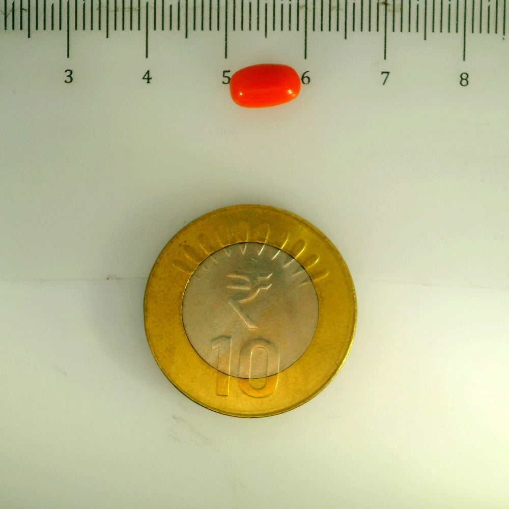 ITLGR_107127_SCALE.webp