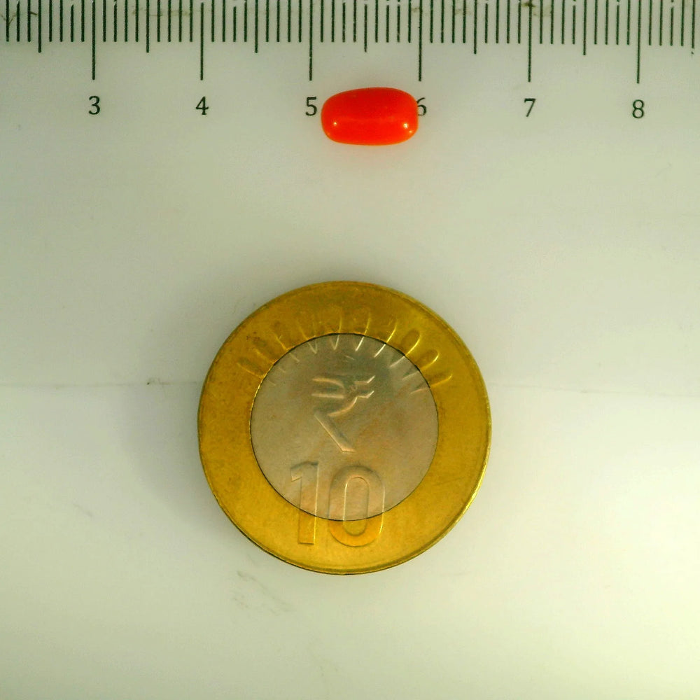 ITLGR_107128_SCALE.webp