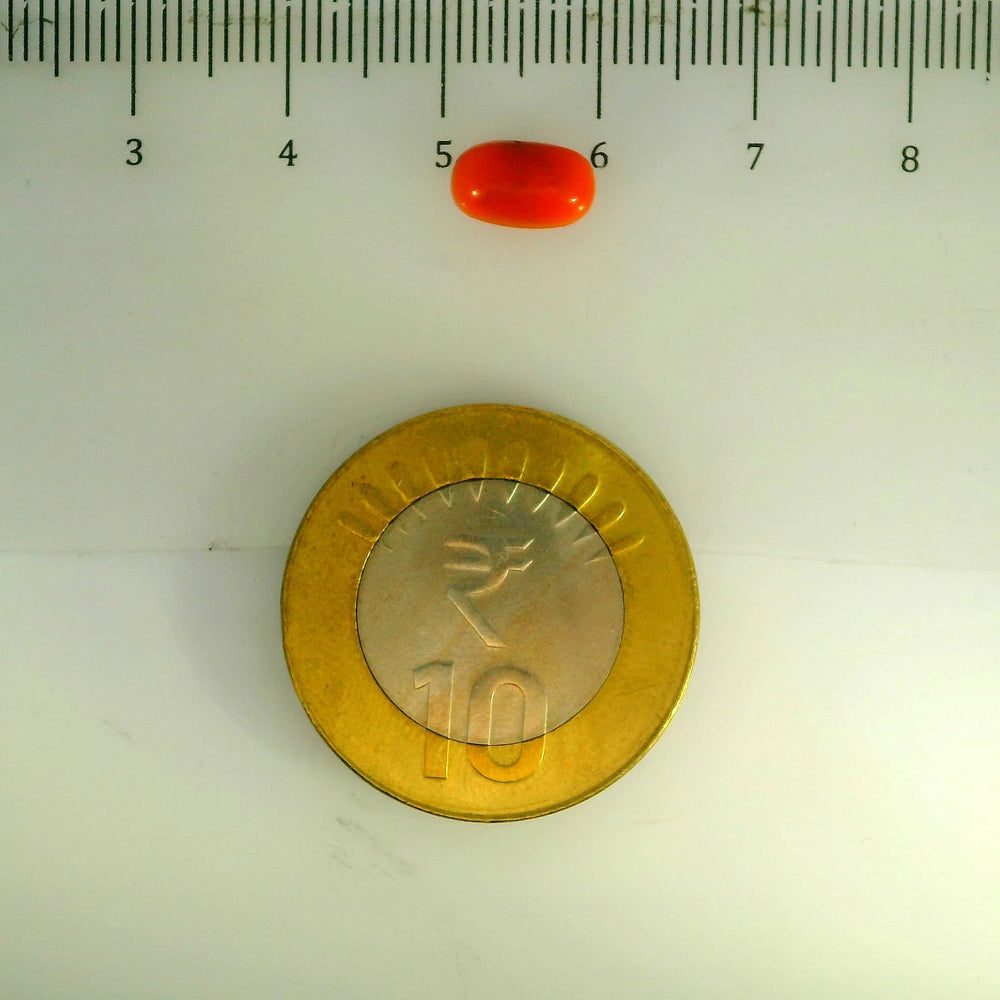 ITLGR_107129_SCALE.webp