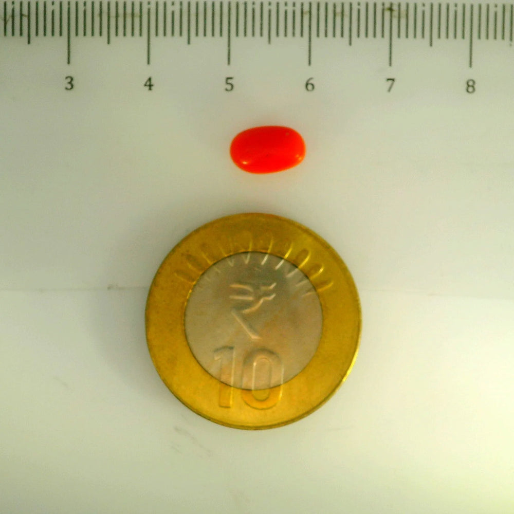 ITLGR_107131_SCALE.webp