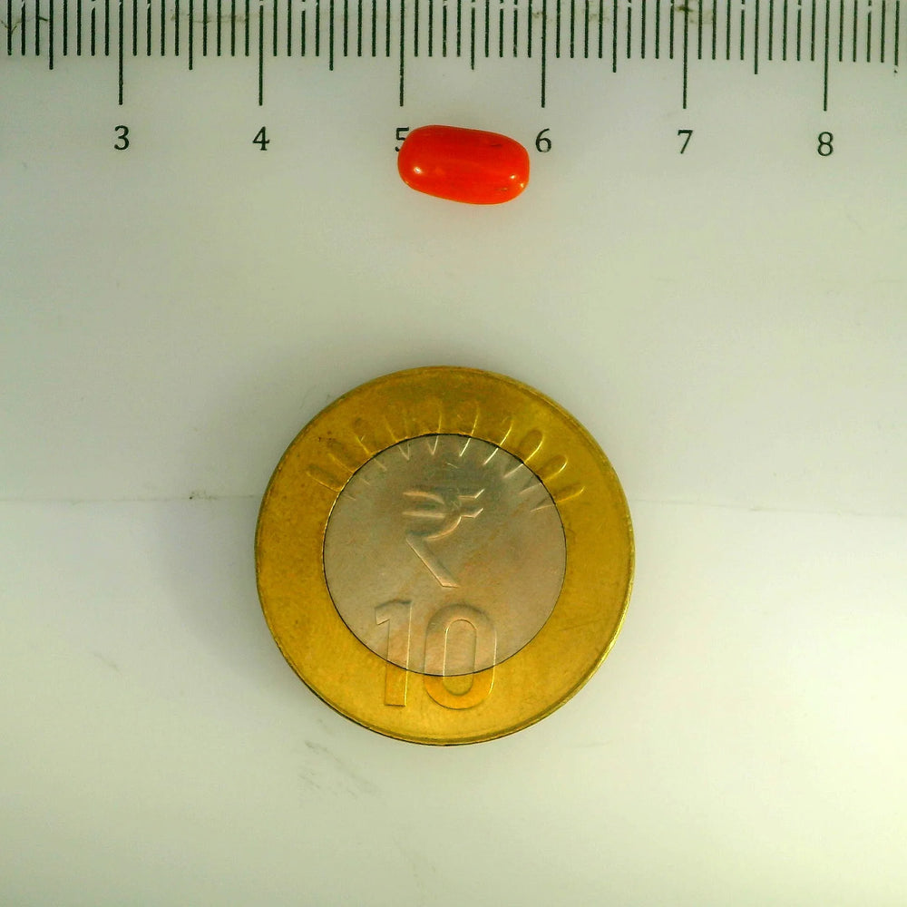 ITLGR_107133_SCALE.webp
