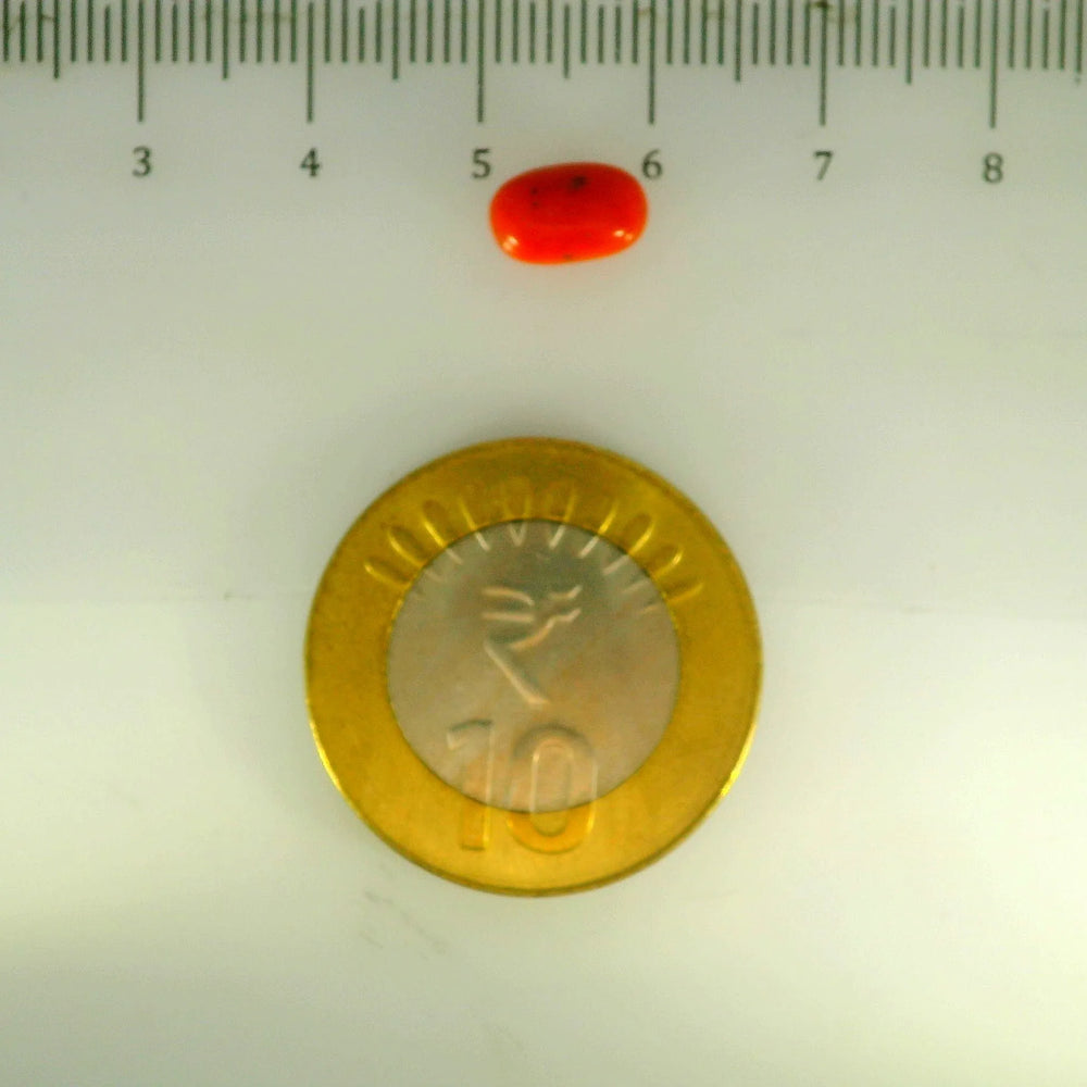 ITLGR_107134_SCALE.webp