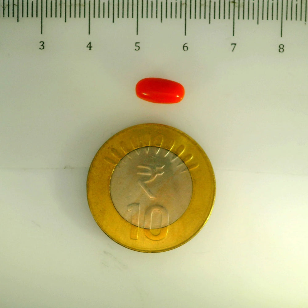 ITLGR_107135_SCALE.webp
