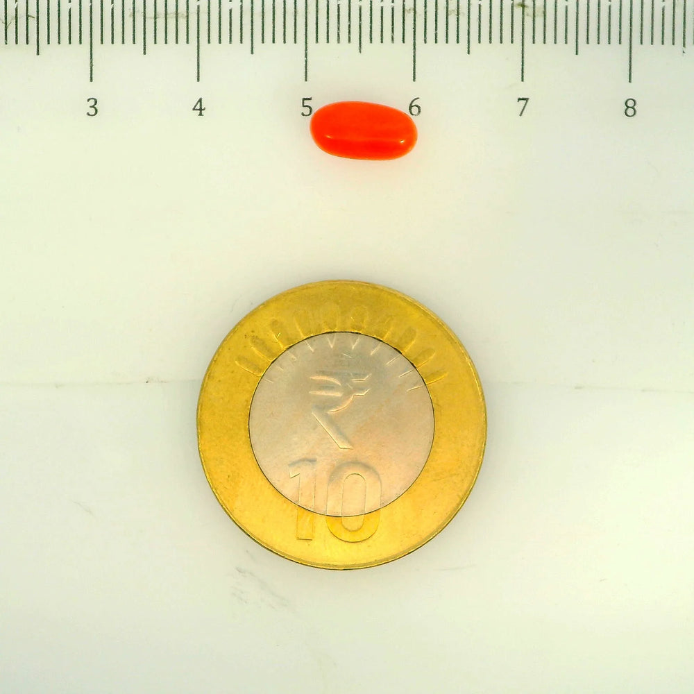 ITLGR_107137_SCALE.webp