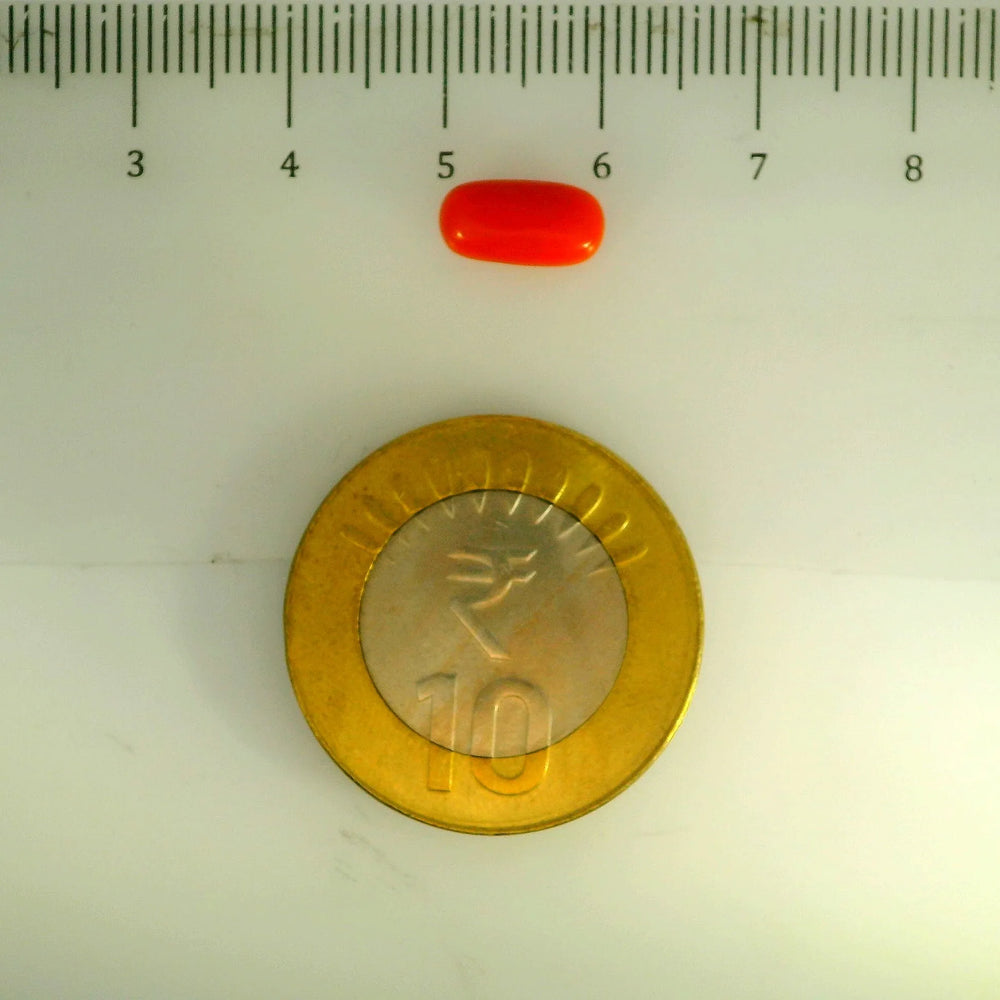 ITLGR_107138_SCALE.webp