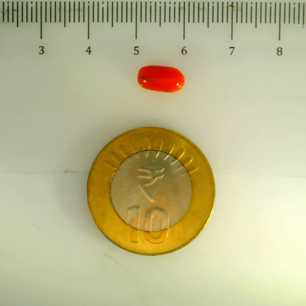 ITLGR_107139_SCALE.webp