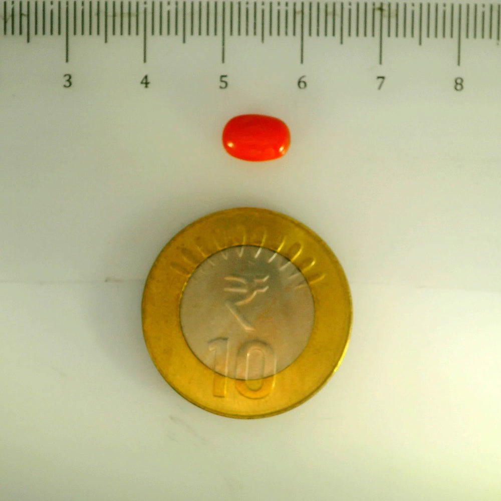 ITLGR_107140_SCALE.webp
