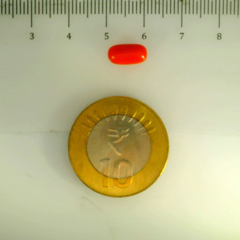 ITLGR_107141_SCALE.webp