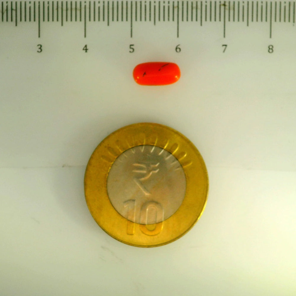 ITLGR_107142_SCALE.webp