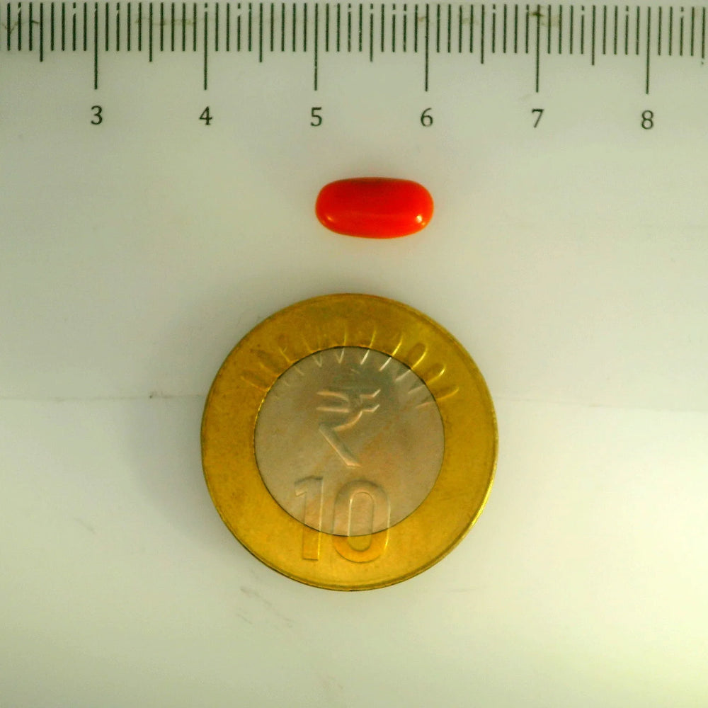 ITLGR_107143_SCALE.webp