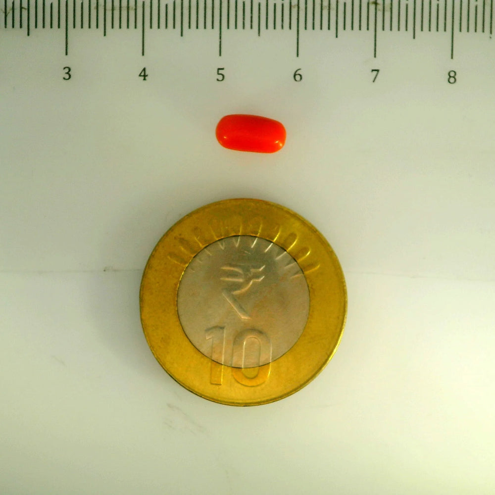 ITLGR_107144_SCALE.webp