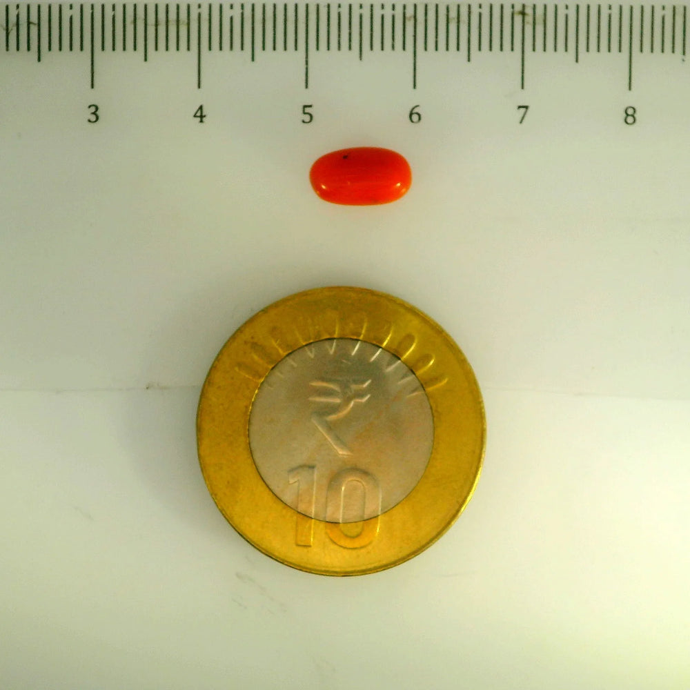 ITLGR_107147_SCALE.webp